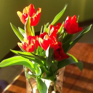 Meet your Posher, Heidi